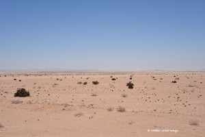 Die Weite der Namibwüste